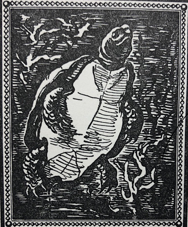artwork of a turtle in water vegetation from The Reader club New York